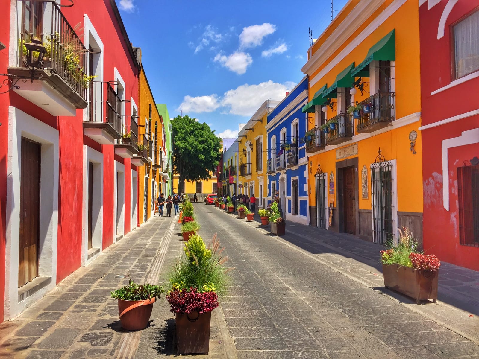 Colorful colonial street lined with flower pots in Puebla's historic center