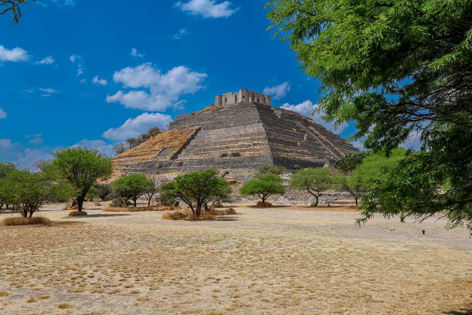 A pre-Hispanic pyramid among mesquite trees near Querétaro