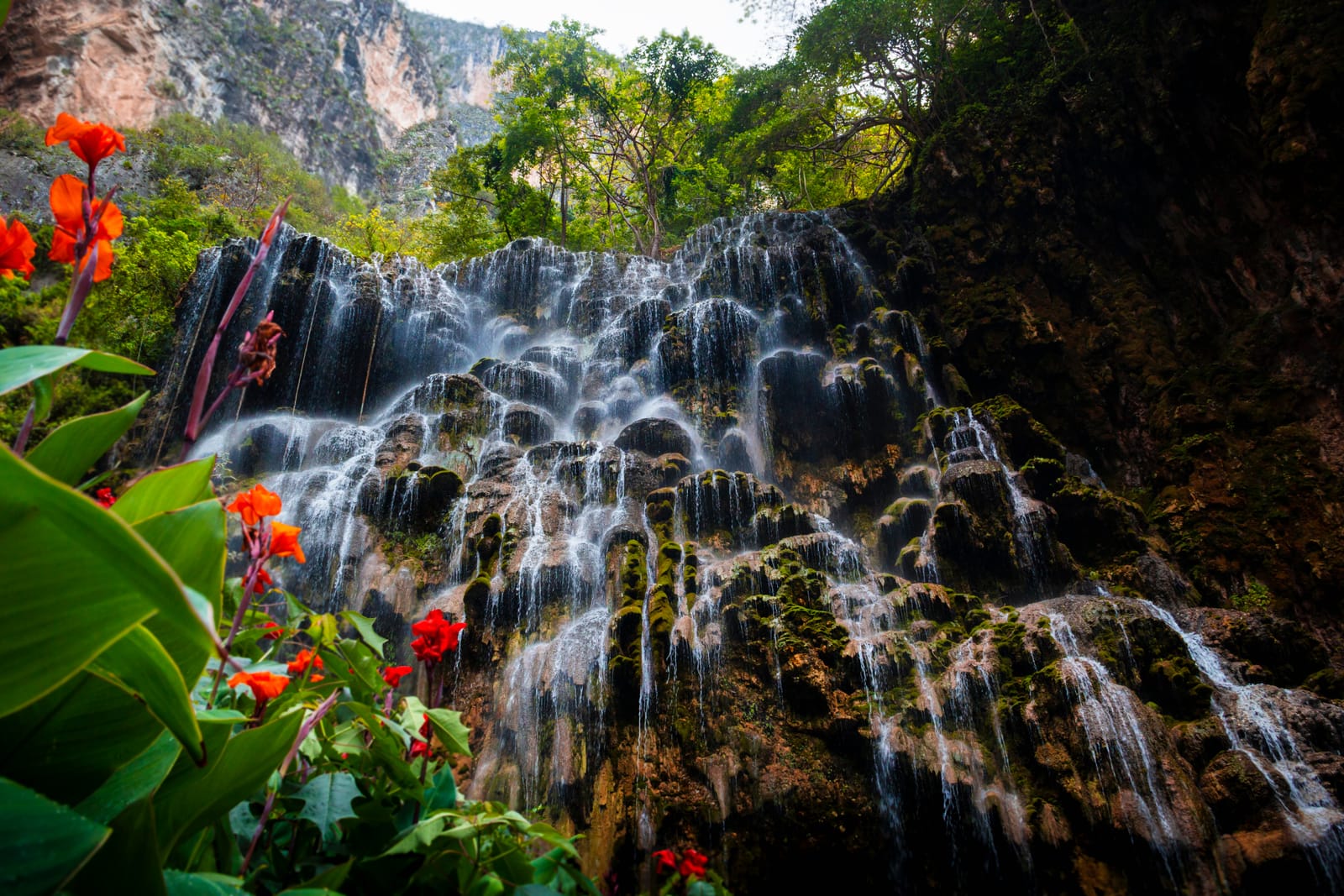 Mineral water cascading over moss-covered rock at Tolantongo